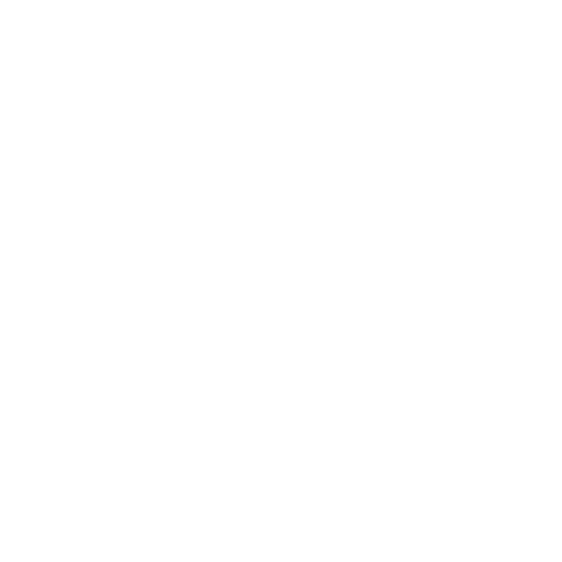 DJI ENTREPRISE